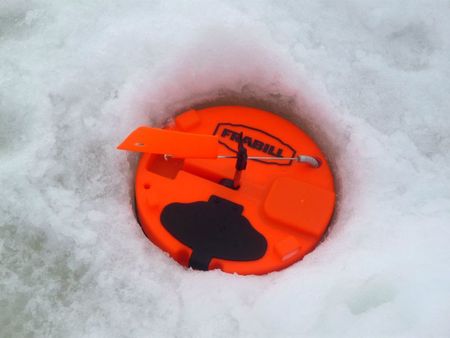 canada fevrier 2012 518