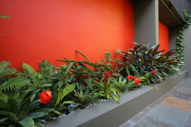 décoration-jardin-mur-orange-plantes