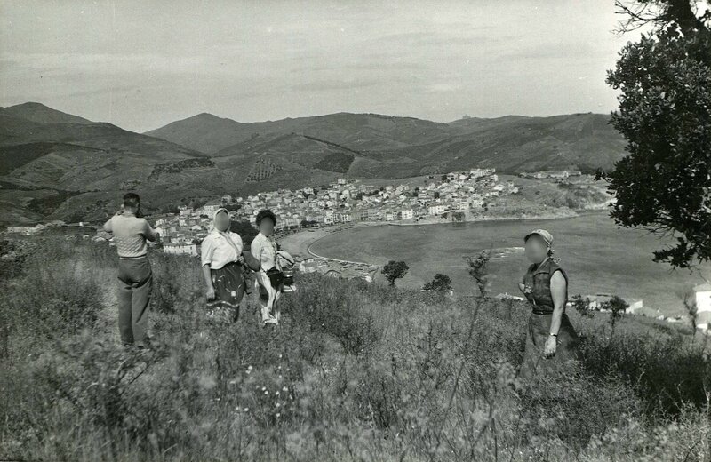 1954