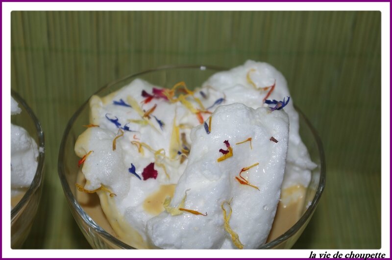 oeufs à la neige créme anglaise partenaire-42