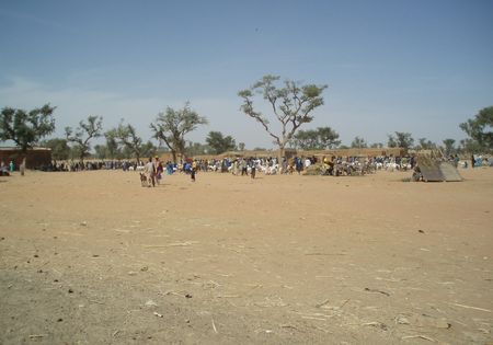 FATOMA marché aux ovins Mali