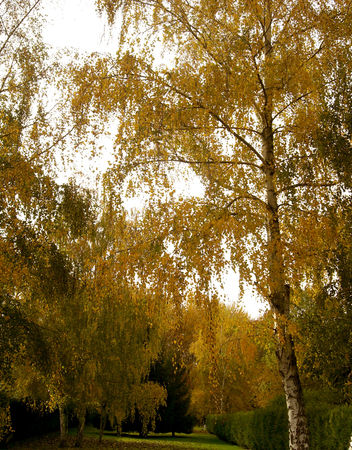 automne1