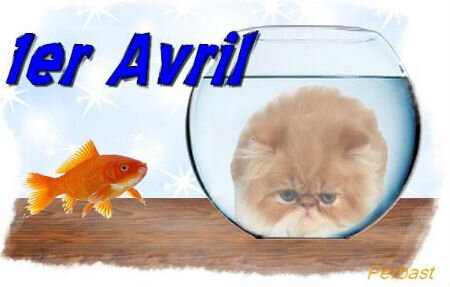 Poisson d'avril par Perbast