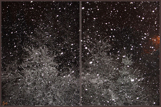 Flocons