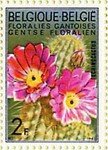 Echinocereus_Belgique
