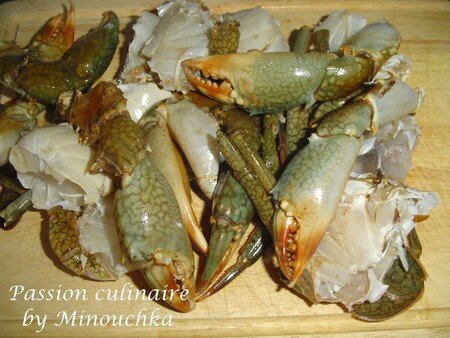 crabe_madgascar