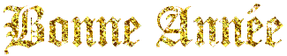 bonne_ann_e_dor_e