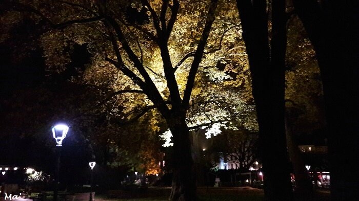 171104_Aix_les_Bains_by_night