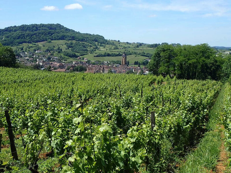 17Village 2
