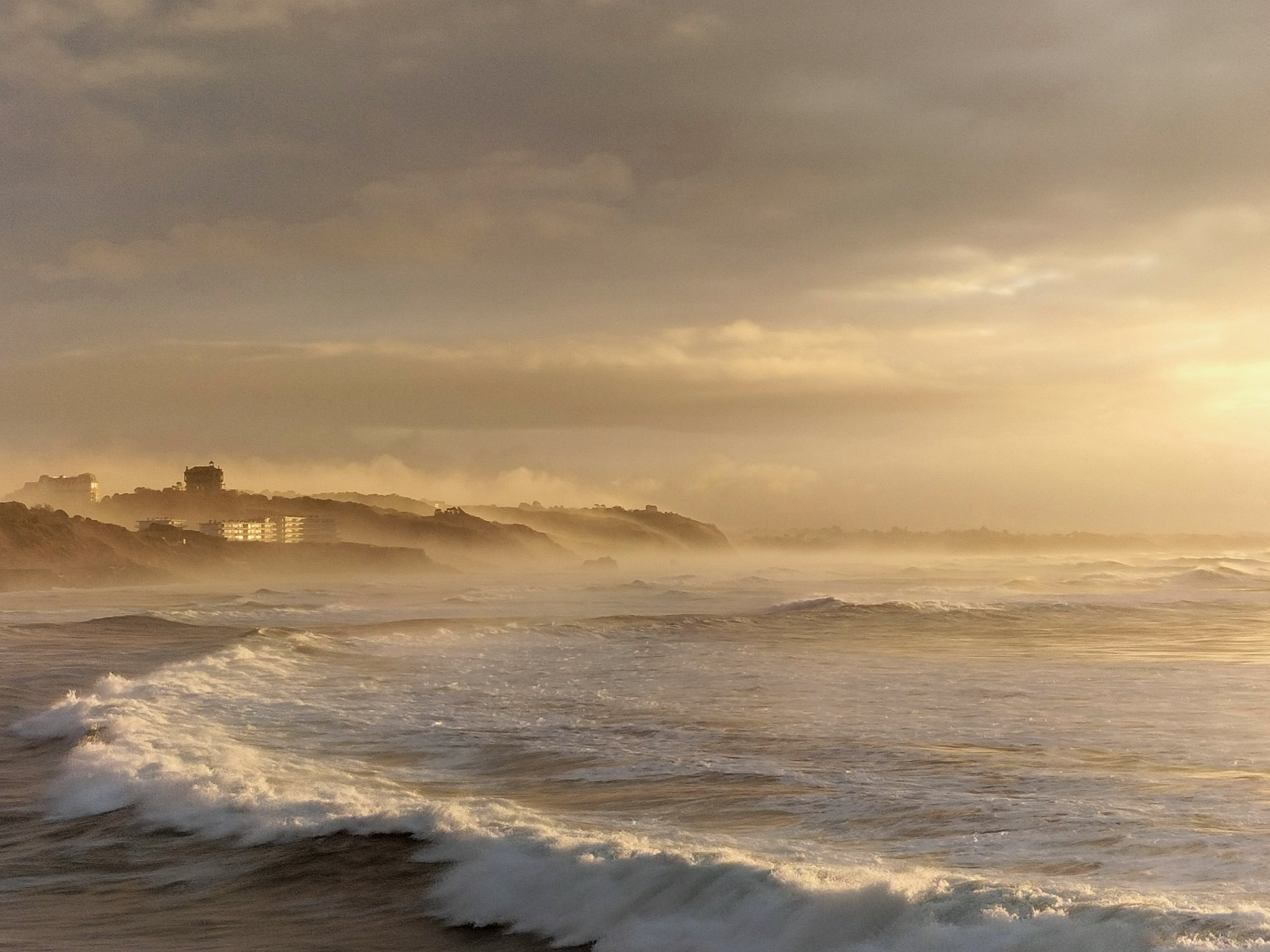 Biarritz, Côte des Basques, février 2022 (64)