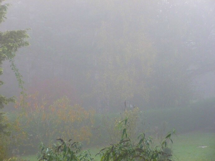 Brouillard 2014 11 06 (2 -15%BPat