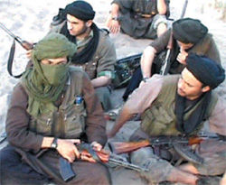 afghans__