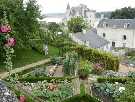 Montsoreau (28)