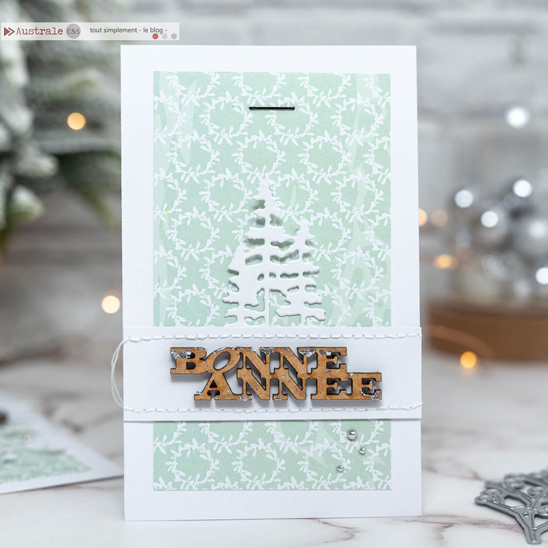 australe-scrap-carte-voeux-bonne-année-2023-9509-2-7-socialfeed