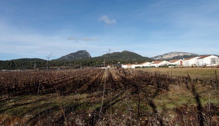 dim_29_janv_2017__vignes_et_Vics