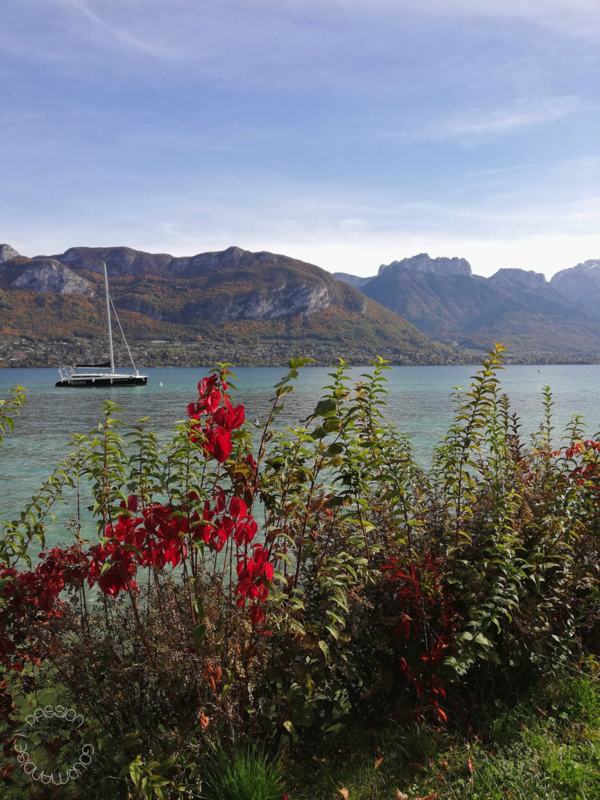 Annecy 2020_25