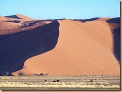 Parc du Namib, Sossusleiv (72)