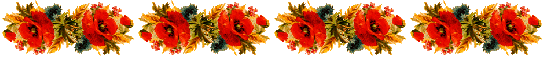 Barre_fleur_coquelicot