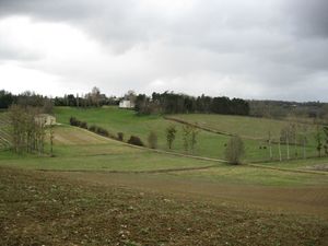 IMG_3227