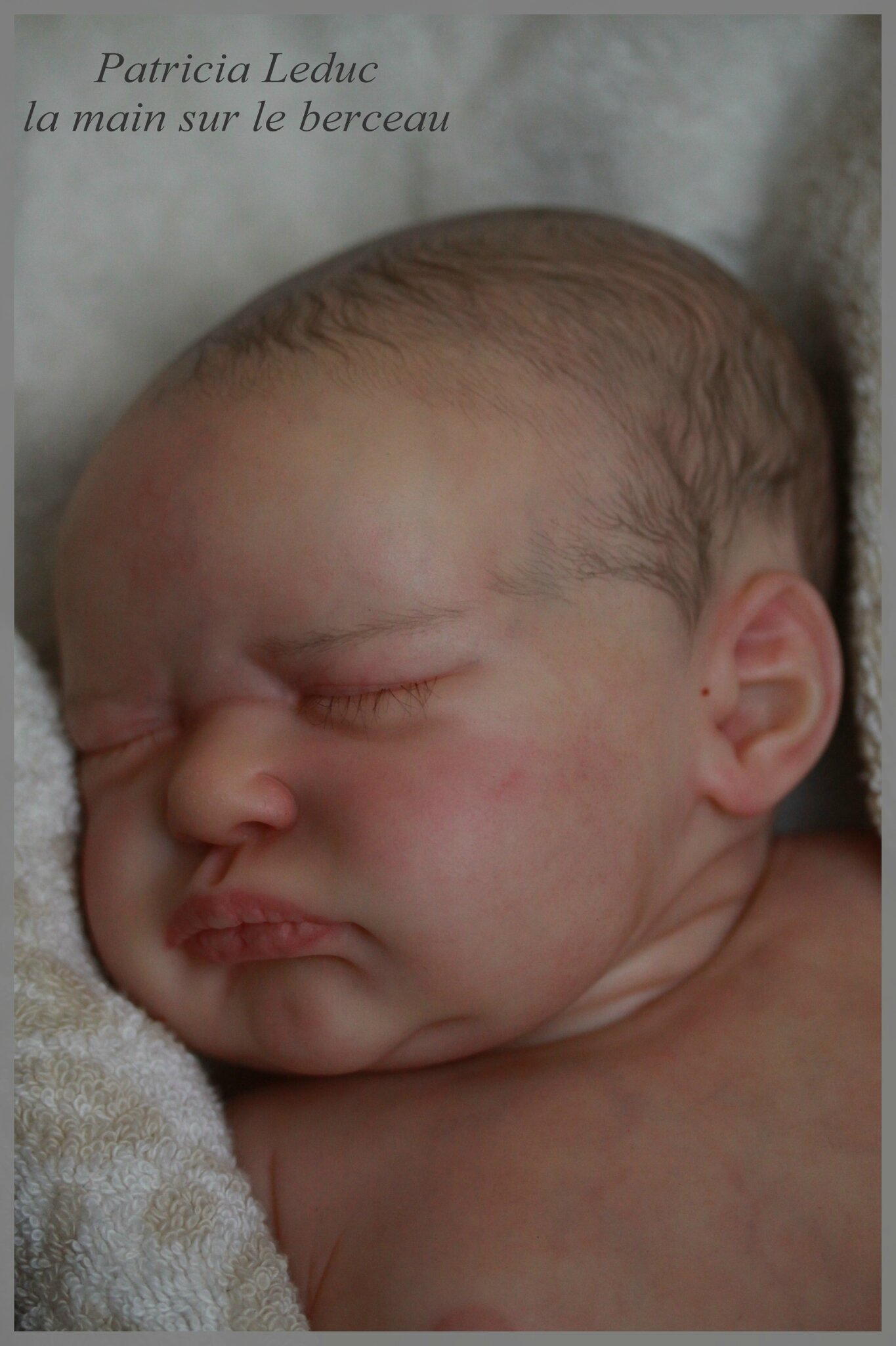 Serenity laura lee eagles on sale