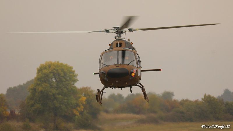 Koufra12 2021-10-19_0065