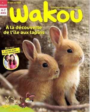 wakou-lapins