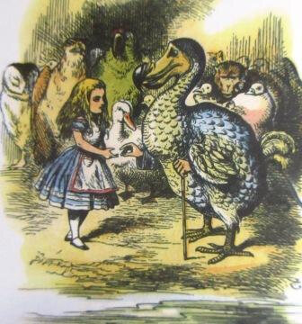 alice et le dodo