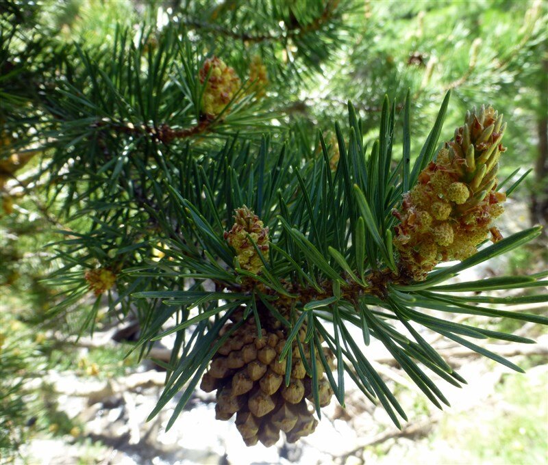 P1140900