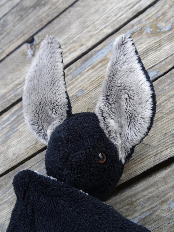 chauve souris doudou