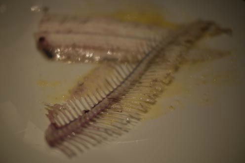slipsole2