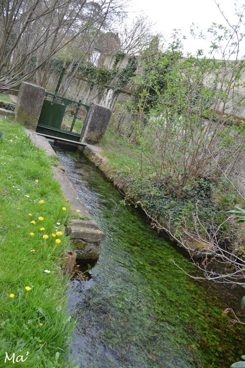150329_canaux_chateauvert5