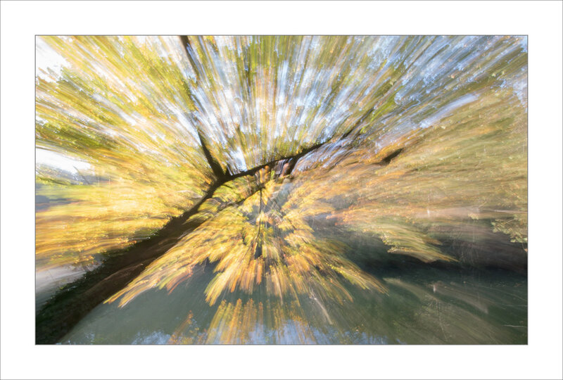 Nature effet zoom 3 201120