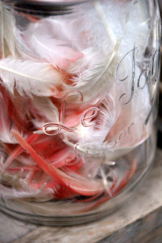 paques_plumes_flamant_rose