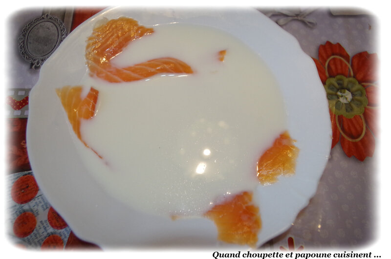 saumon demi-cuit-4263