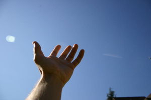 42007448