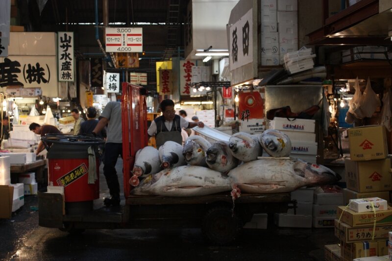 Marché aux poissons de Tsukiji