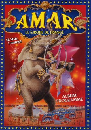 amar2011
