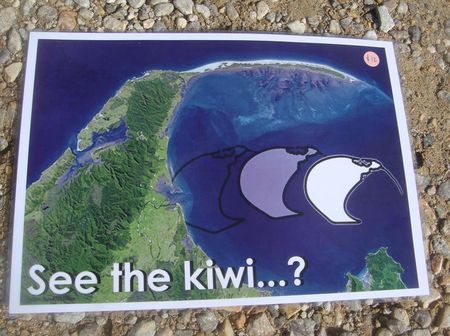 see_the_kiwi