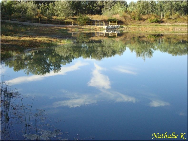 _c__LNK__septembre_2010_Reflet_3