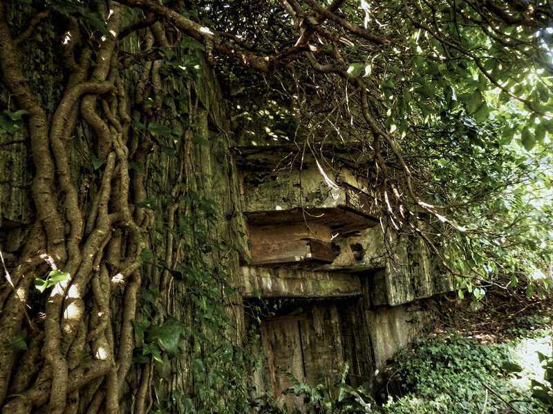 Engloutie sous le lierre, la dernière casemate à des aires de cité perdue