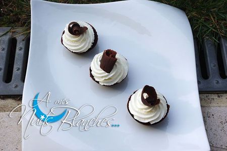 mini-foret-noire6