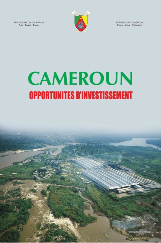 cameroun-opportunites-drsquoinvestissement-1-638