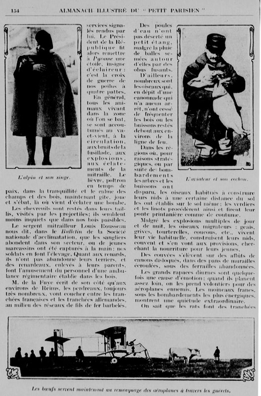 Guerre animaux hommes3