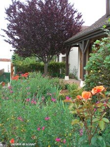 Jardin_devant