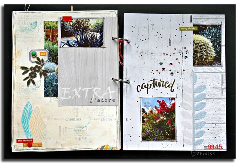 Jardin (11)