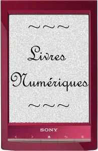 logo livre numérique