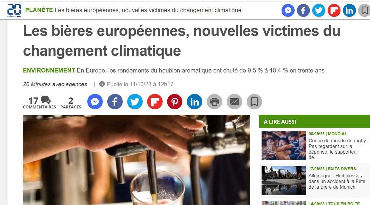 Bière réchauffée