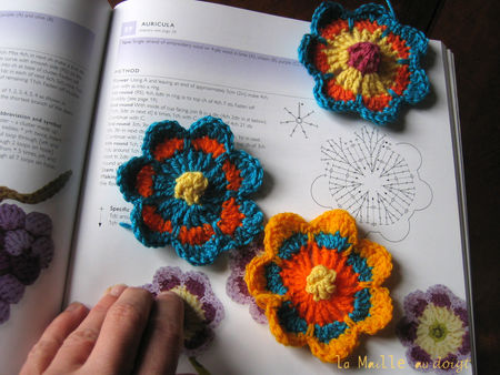 fleur_greenie_auricula