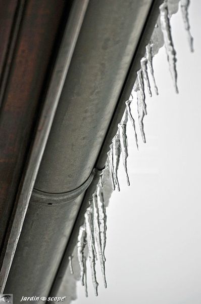 Stalactite