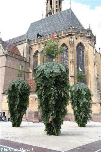 La crémation des trois sapins tous les ans le 30 juin